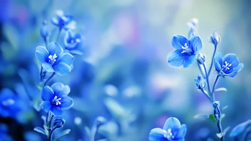 Delicate Blue Flowers Dance in Soft Morning Light.
