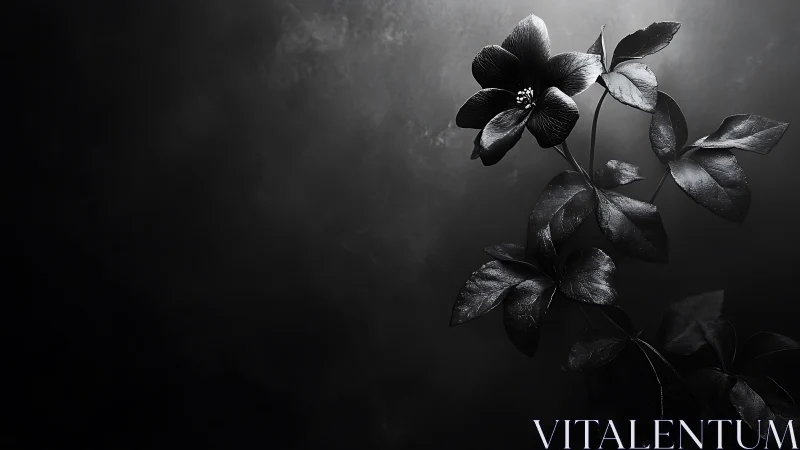 Noir Bloom: Flowers Whisper in Grayscale Shadows.