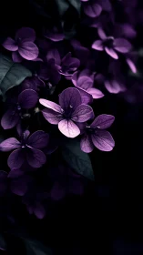 Luminous purple petals dance through moody darkness with ethereal grace.