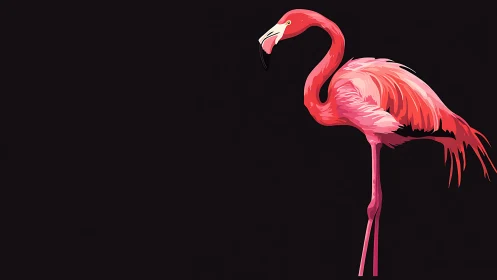 Minimal flamingo illustration glows against deep black background