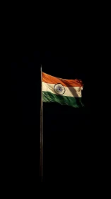 Indian flag under directional lighting isolates vivid tricolour field
