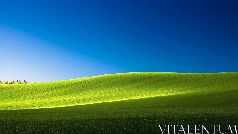 Sunlit green hill rolls gently beneath a calm blue sky