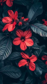 Vivid Red Flowers Against Deep Teal Foliage. Moody Botanical Study.