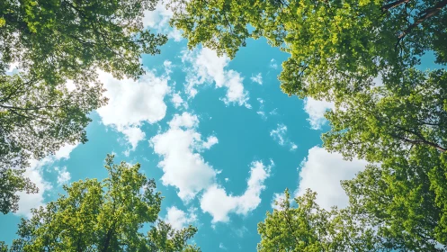 Vibrant treetops framing blue sky with clouds, nature photography.