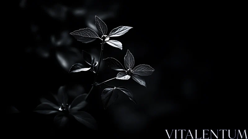 Luminescent Foliage Against Absolute Darkness: Chiaroscuro Study.