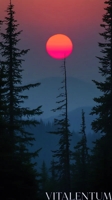 Smoky mountain sunset isolates magenta sun behind conifer silhouettes