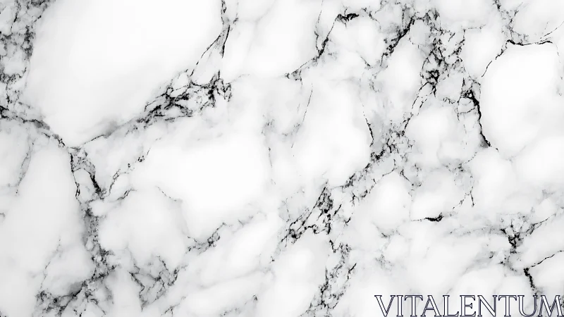 High-key white marble surface with fine grayscale veining detail