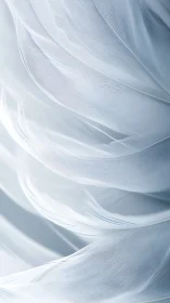 Whisper-light white feathers curling in a peaceful hush.