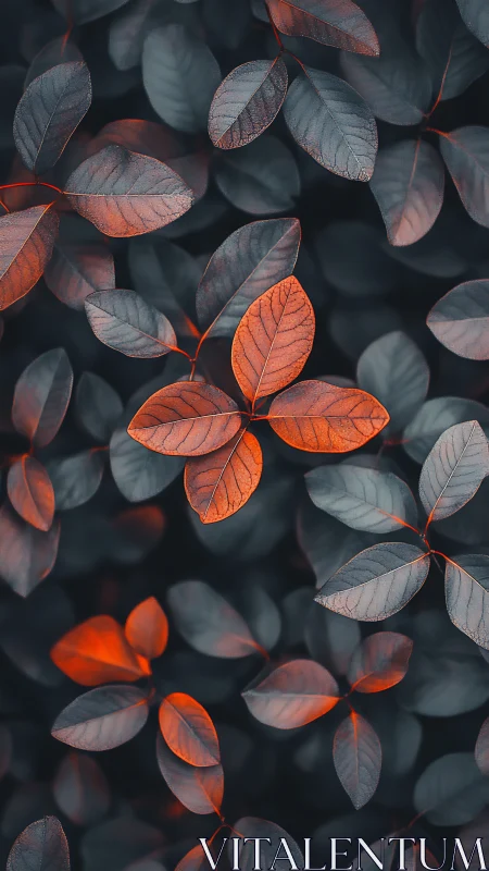 Orange leaves stand out against dark blue foliage pattern.