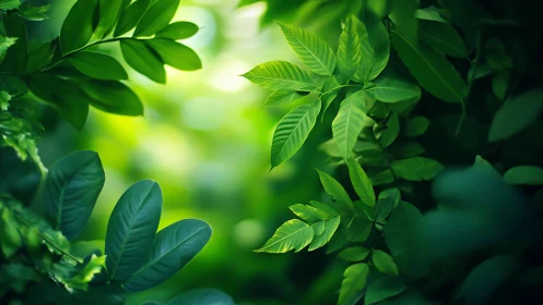Sunlit jungle leaves frame soft-focus green forest core
