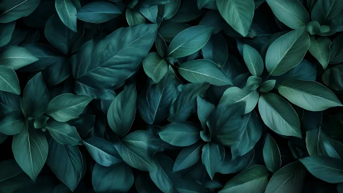 Digital painting study of overlapping emerald foliage forms.