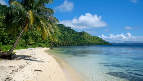 Tropical Coastline with Palm Tree and Clear Water