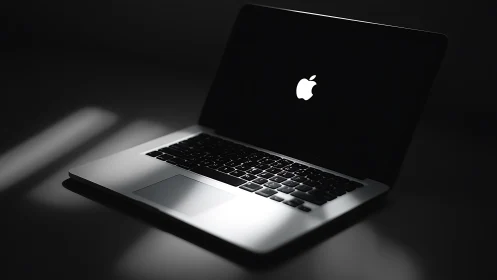 Soft spotlight on a sleek laptop ready for quiet focus.