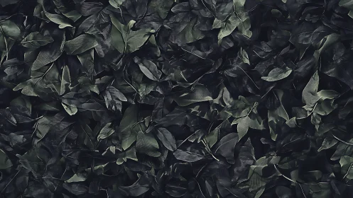 Deep green leaves create a calm forest-inspired background