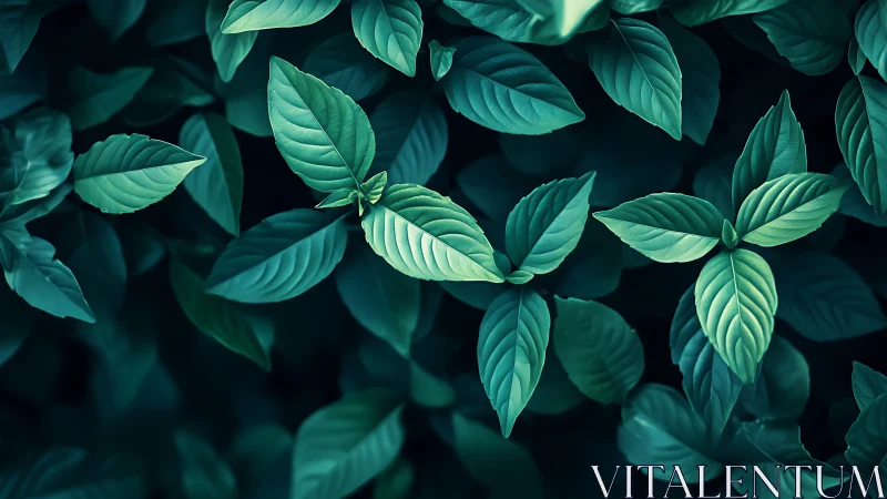 Emerald foliage pattern with moody teal tonal contrast.