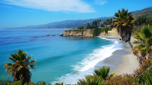 Coastal headland with palm trees borders a curved sandy bay