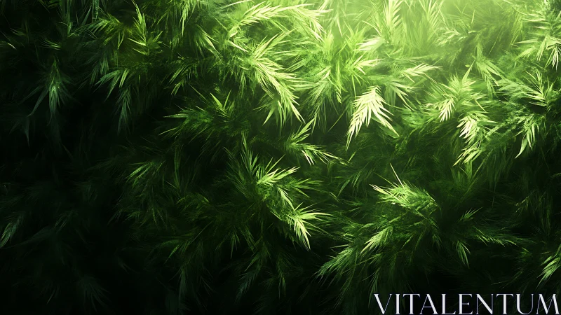 Lush emerald foliage under soft directional sunlight glow.