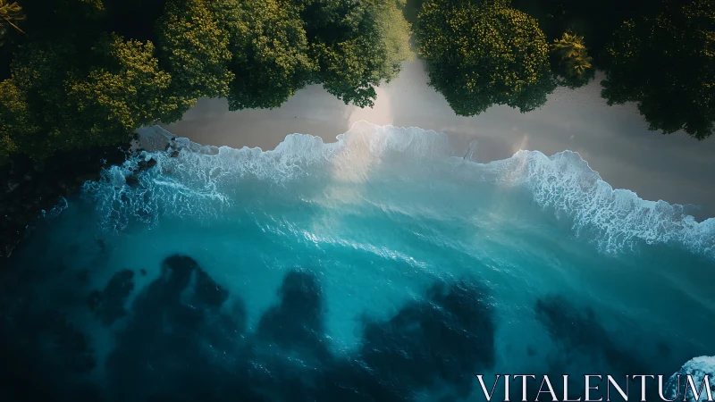 Turquoise waves embrace a secluded tropical forest shoreline