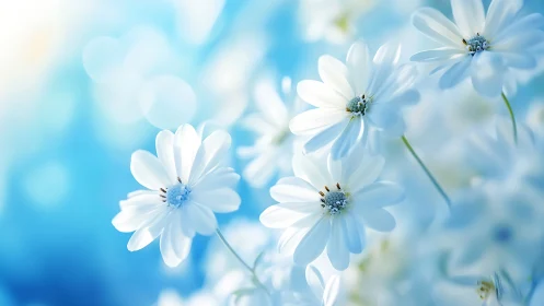 Crystalline Daisies Float Through Cerulean Dreamscape.