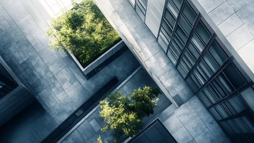 Skyview of quiet city courtyard where trees soften steel.