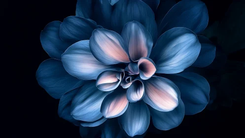 Synthetic bloom rendered with triadic color gradients and subsurface scattering effects.