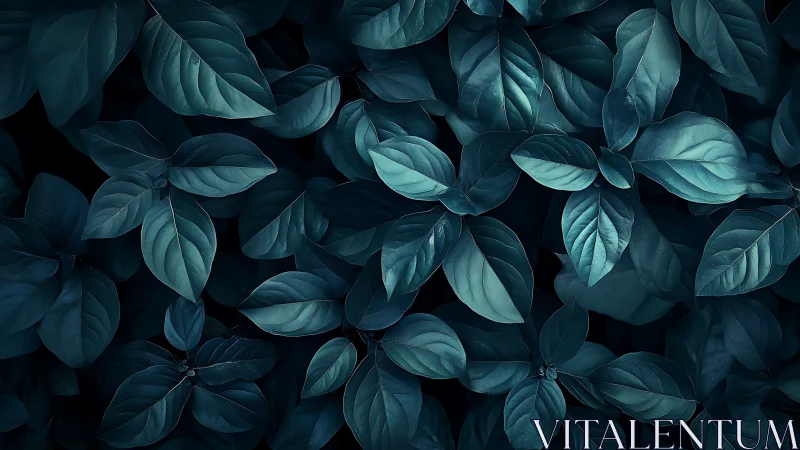 Low‑key macro foliage with teal cinematic color grading