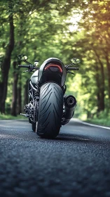 Rear motorcycle view aligns on forest road in soft daylight