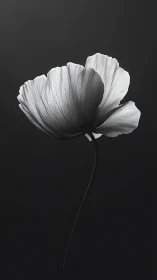 Monochromatic flower against dark background rendered in high contrast.