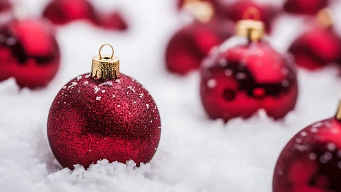 Crimson snow-kissed baubles resting in a winter hush.