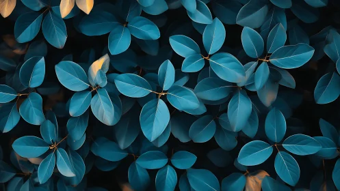 Teal foliage pattern under soft directional evening light.