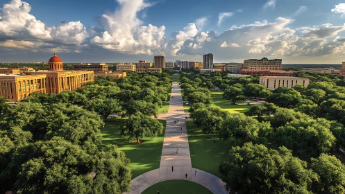 Tree-lined campus promenade with academic buildings visible.