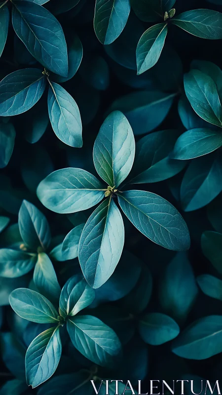 Close-up of blue-green leaves in soft natural light.