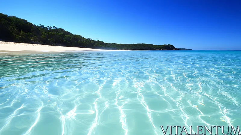 Crystal lagoon shoreline under clear blue summer sky.