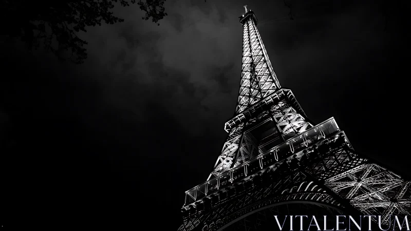 Illuminated Eiffel Tower in high contrast night view.