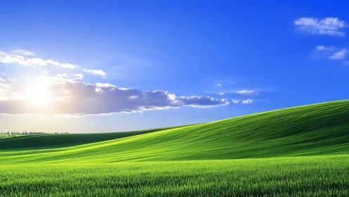 Sunlit green hillside under clear blue open sky.