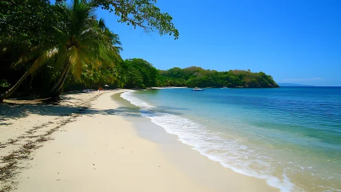 Tropical Paradise Beach Cove with Palm Trees