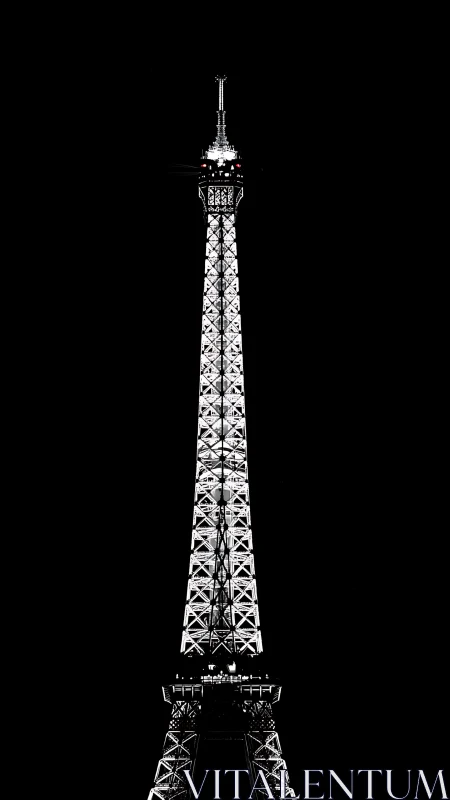 Monochrome Eiffel Tower night study on pure black field.