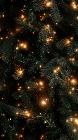 Dense evergreen foliage contains dispersed warm light points