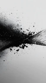 Monochrome ink explosion across diagonal abstract field.
