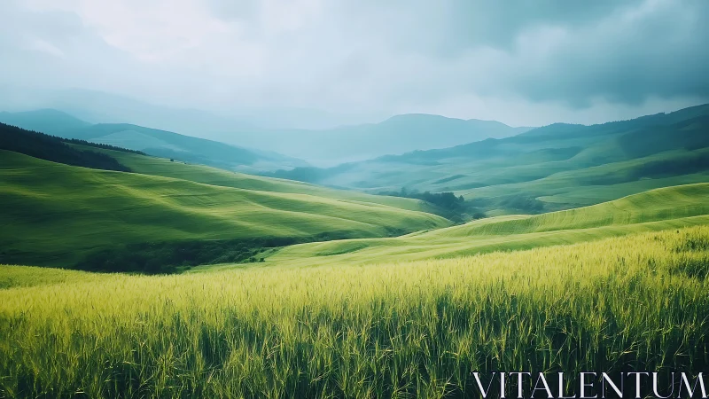 Rolling green hills recede into mist under heavy clouds