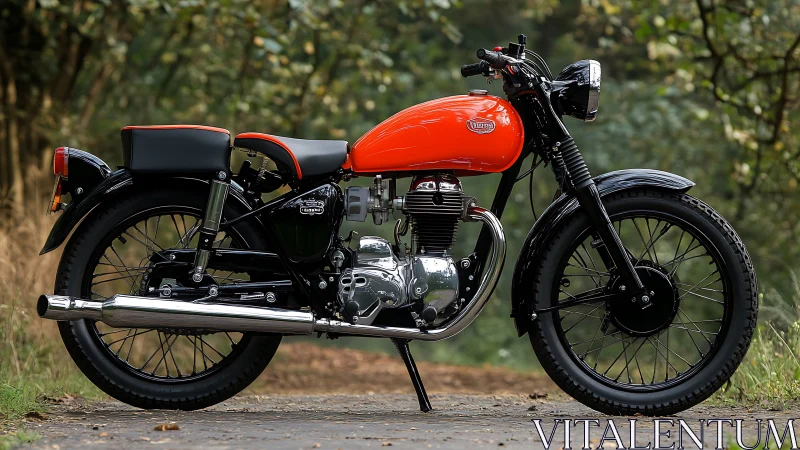 Vintage single-cylinder road motorcycle in forest daylight profile.