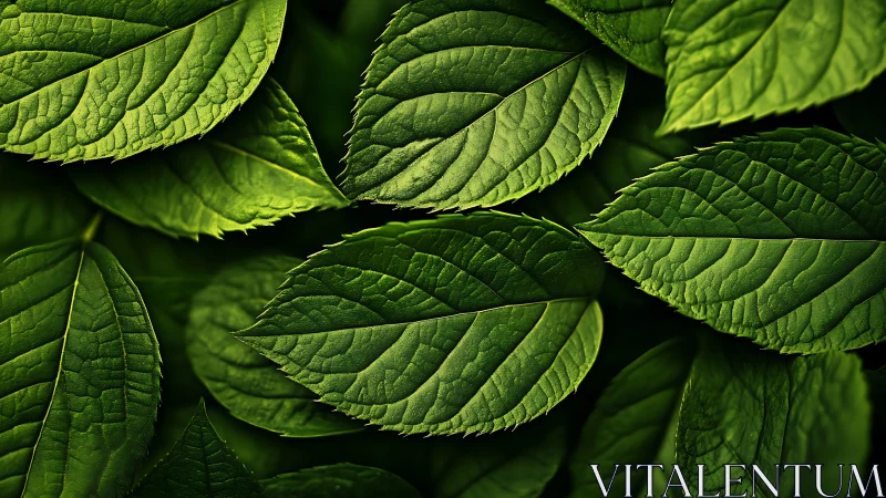 Macro botanical leaf tessellation in layered green relief.