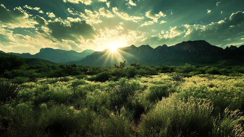 Desert valley sunrise over rugged mountain ridgeline.