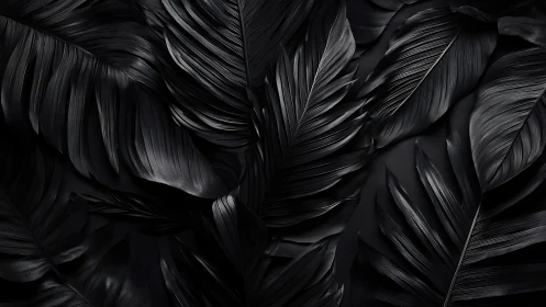 Glossy black tropical leaves create a dramatic abstract pattern.