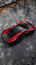 Scarlet hypercar glides beneath bare branches in autumn hush.