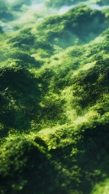 Rendered close view shows dense mossy terrain surfaces