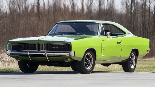 Lime green classic muscle car parked on rural roadside