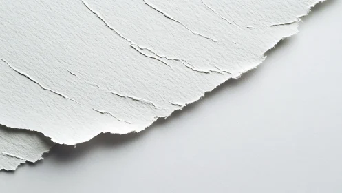 Textured torn paper edge creates a calm minimal backdrop