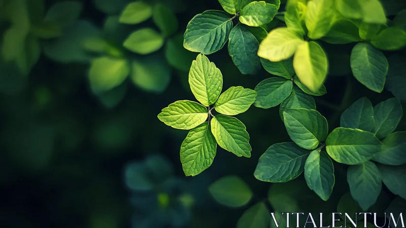 Macro leaf cluster with radial symmetry and soft bokeh focus.
