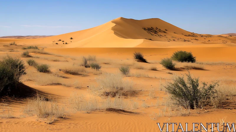 Desert sand dune with sparse shrubs under clear sky.